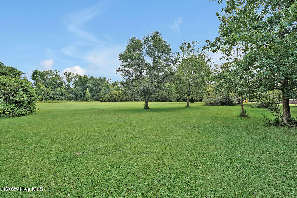 100521494 | Photo 46