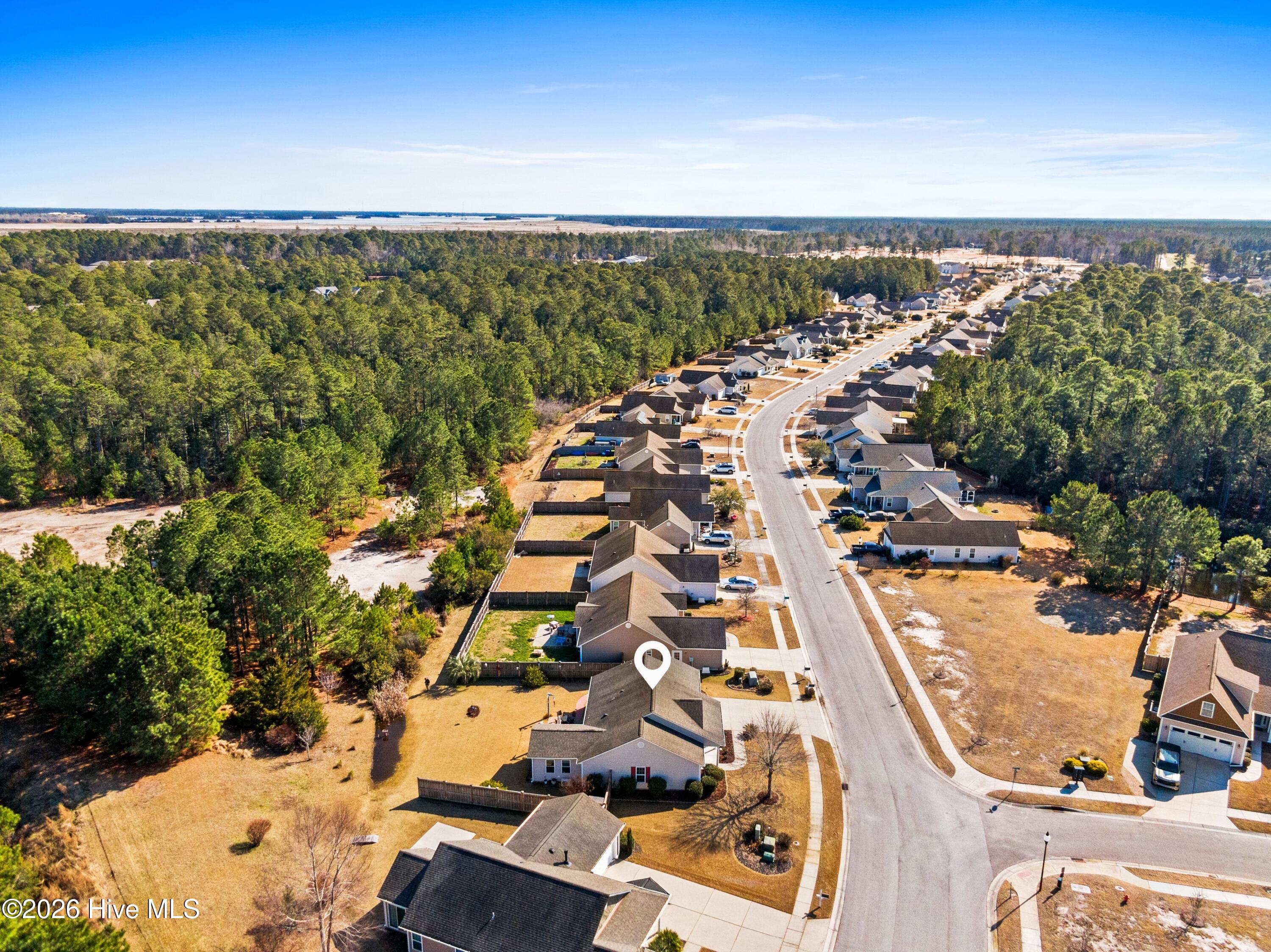 100554021 | Photo 38