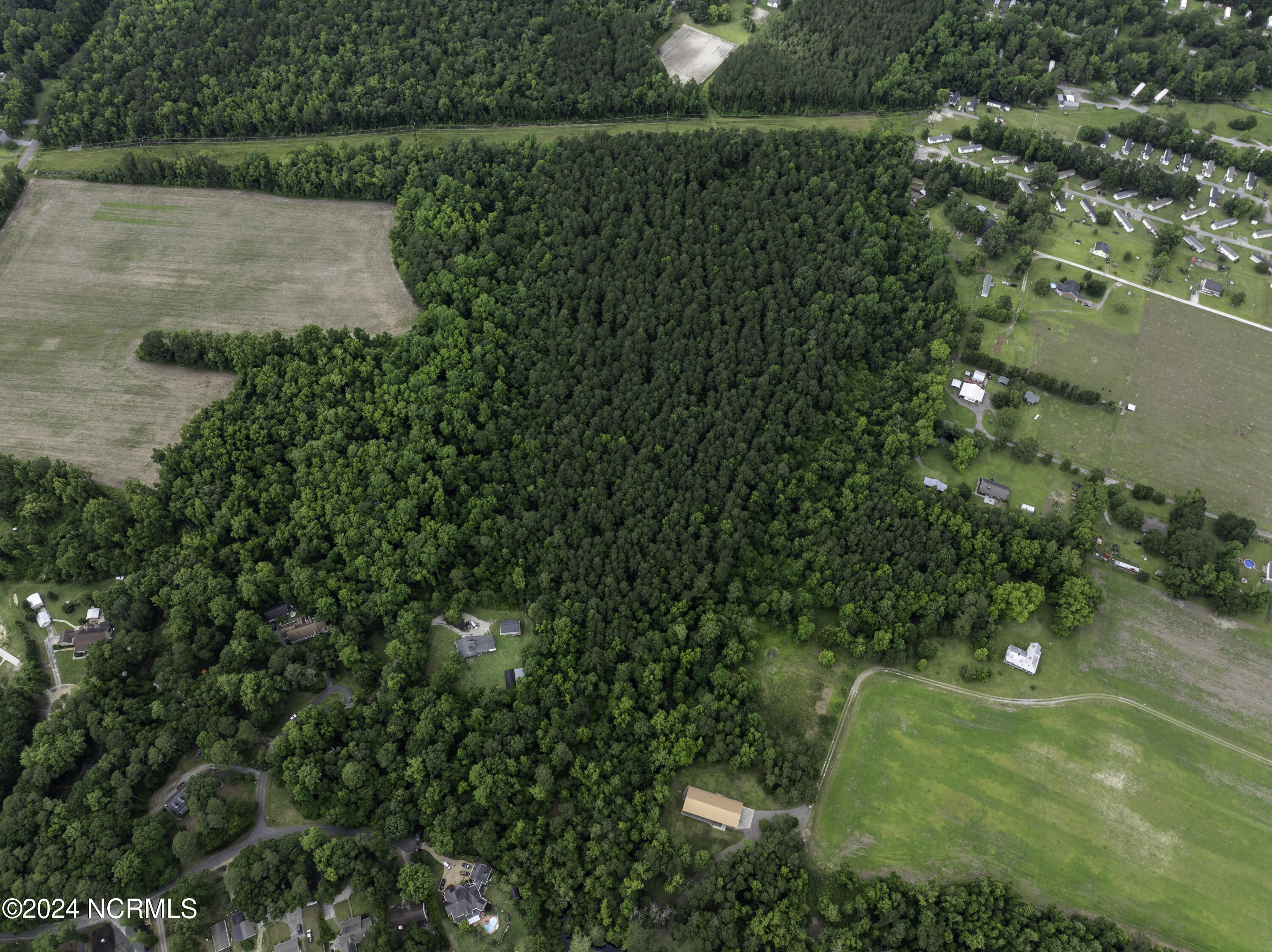 100524408 | Photo 34