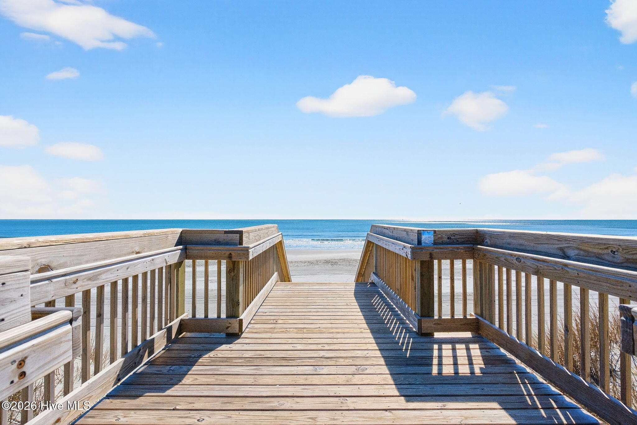 100554629 | Photo 45