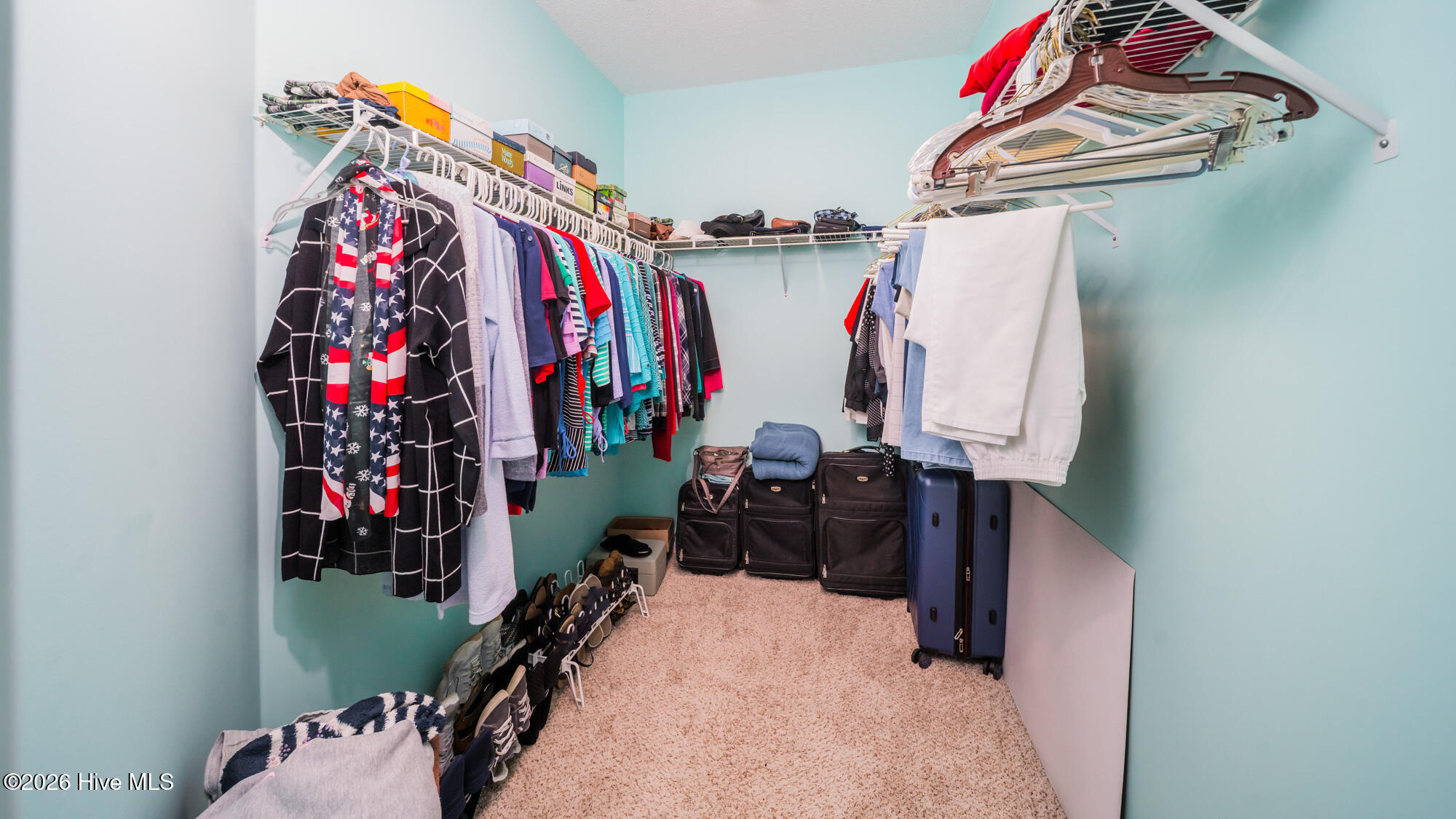 100569963 | Photo 24