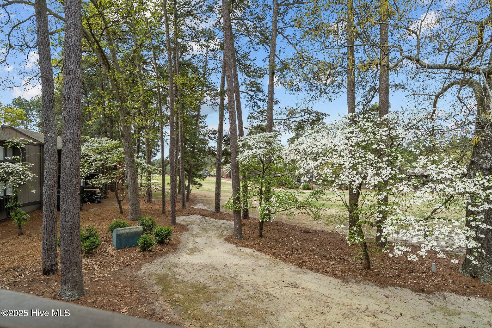 5 Pine Tree Road 211