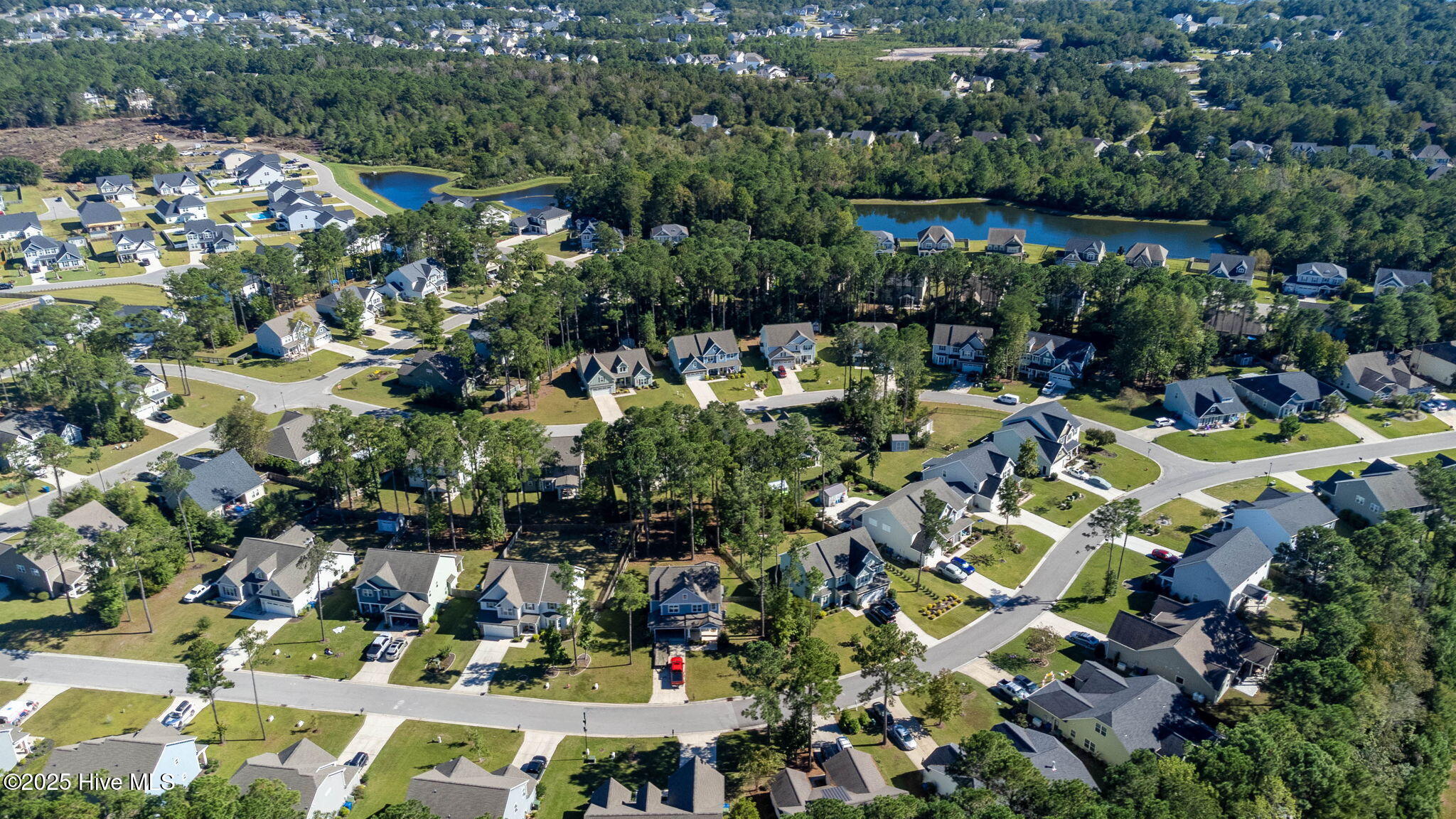 100536642 | Photo 41