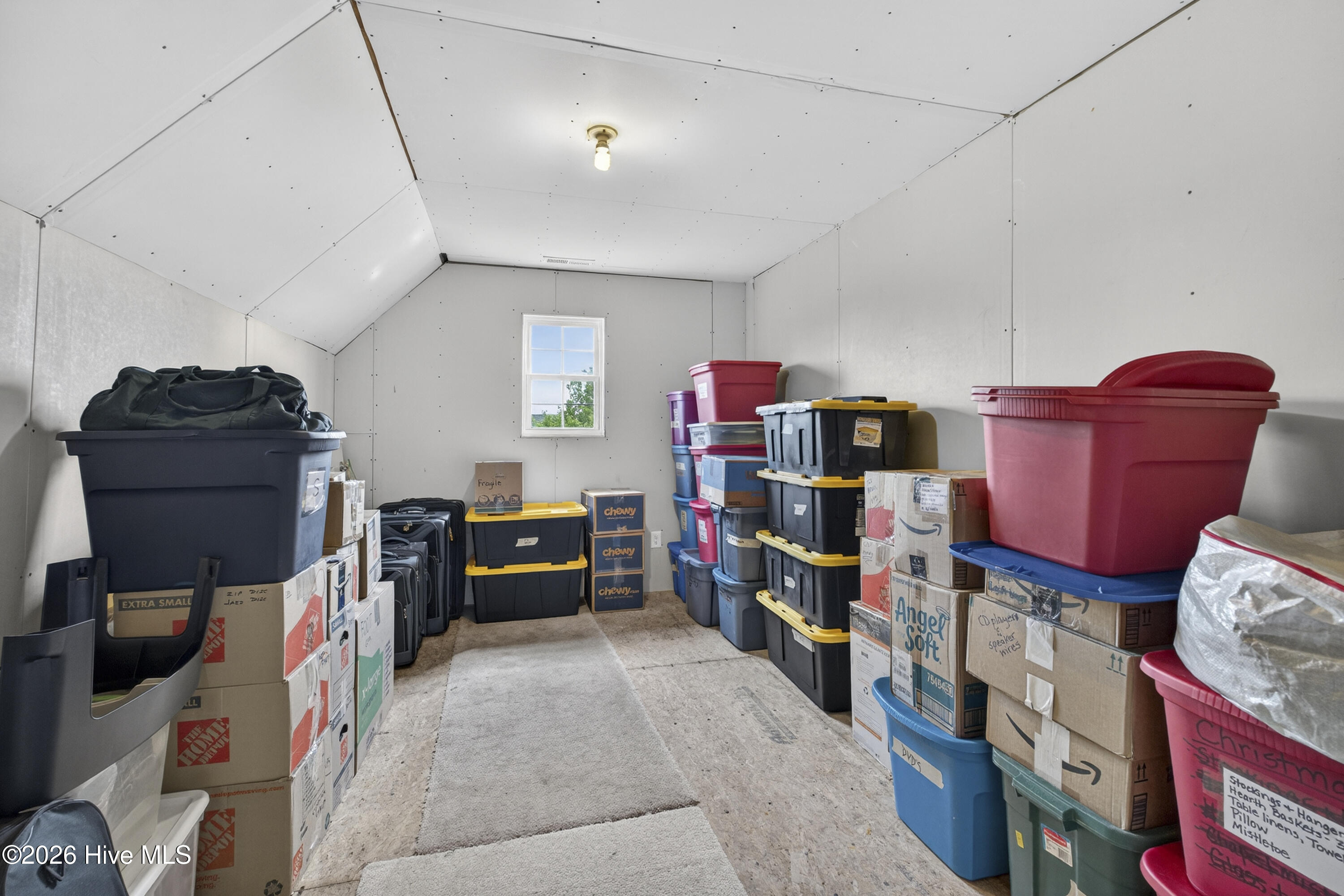 100565097 | Photo 29