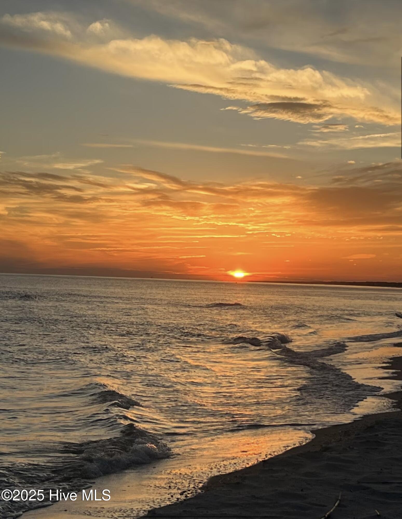 100537146 | Photo 65