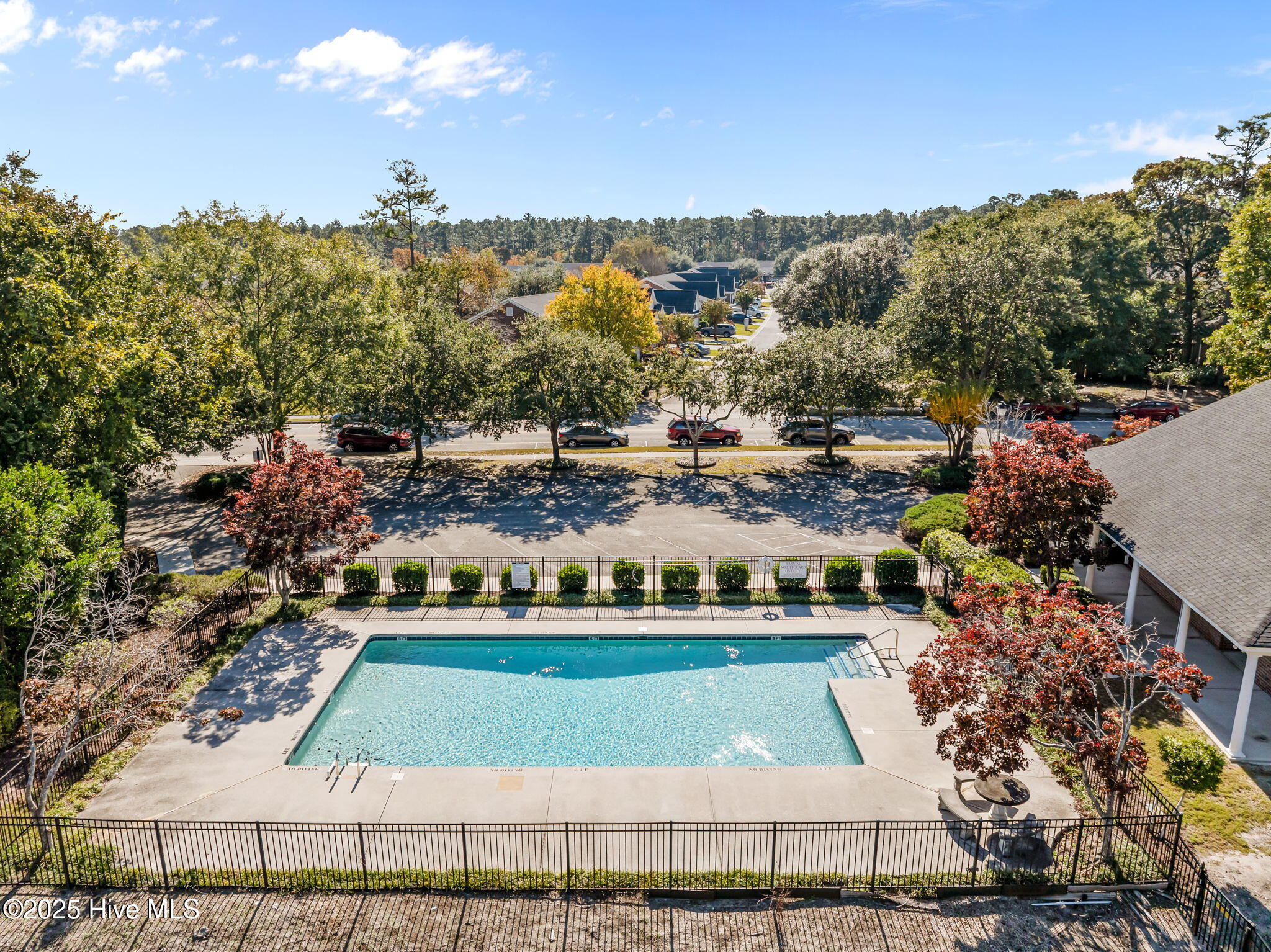 100540244 | Photo 51