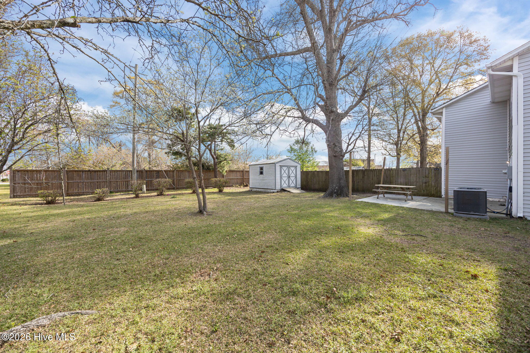 100563237 | Photo 20