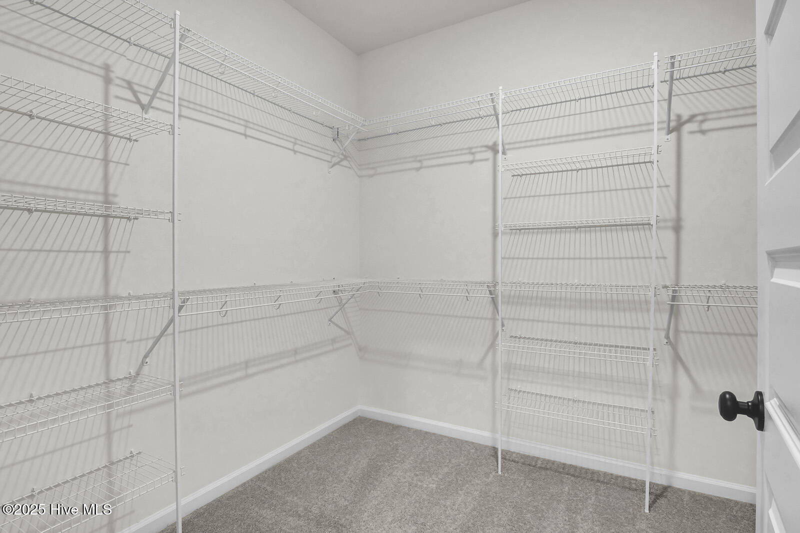 100515085 | Photo 22