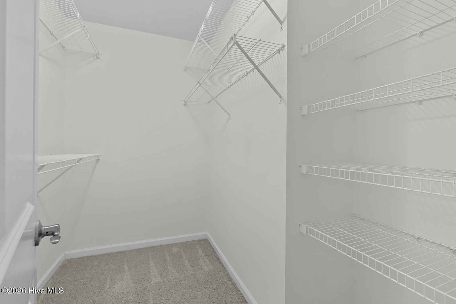 100563691 | Photo 14