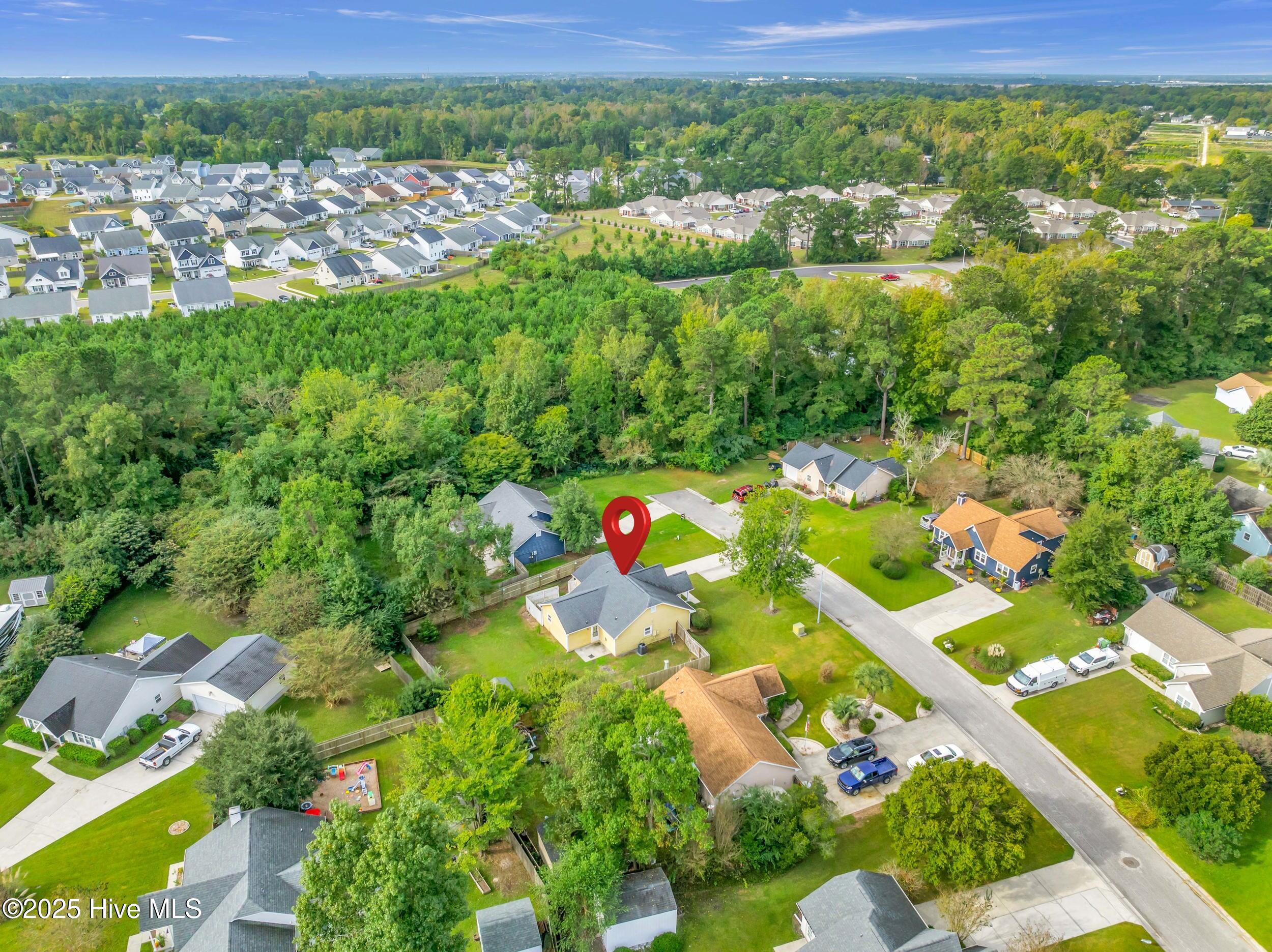 100535250 | Photo 34