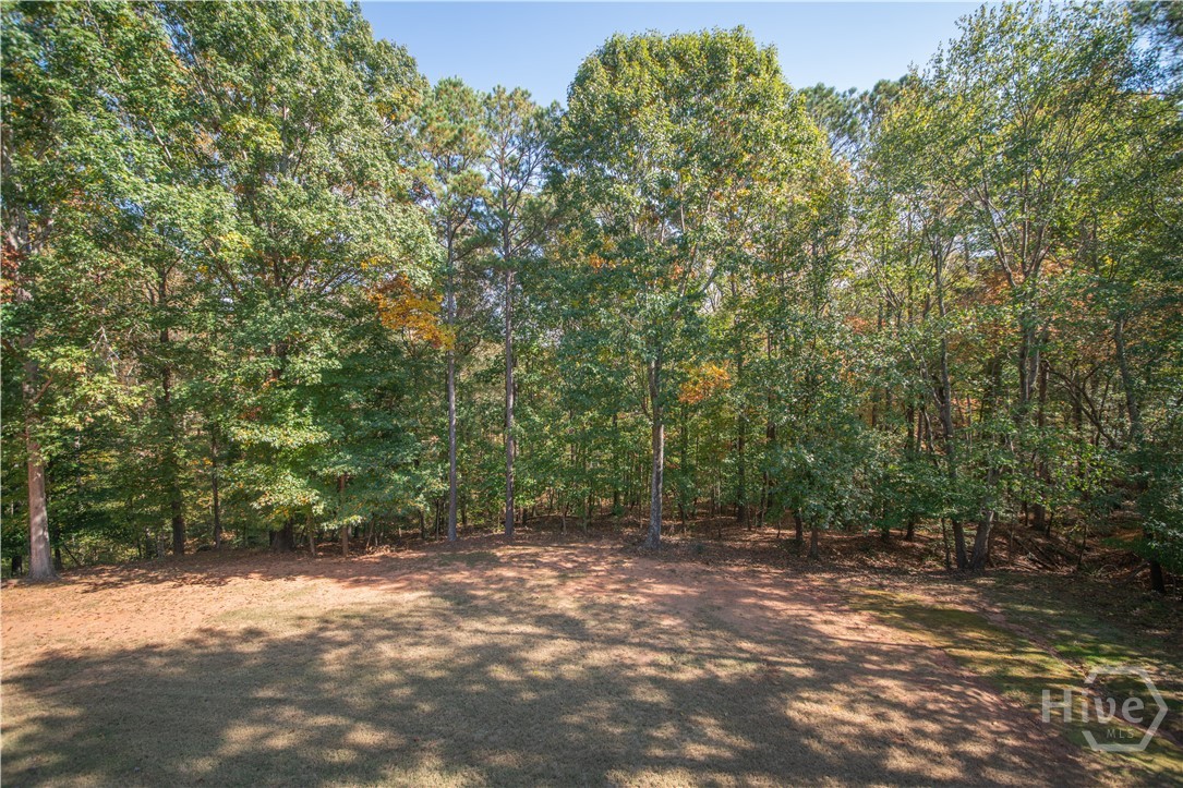 1221 Knob Creek Drive, Athens, GA, 30606