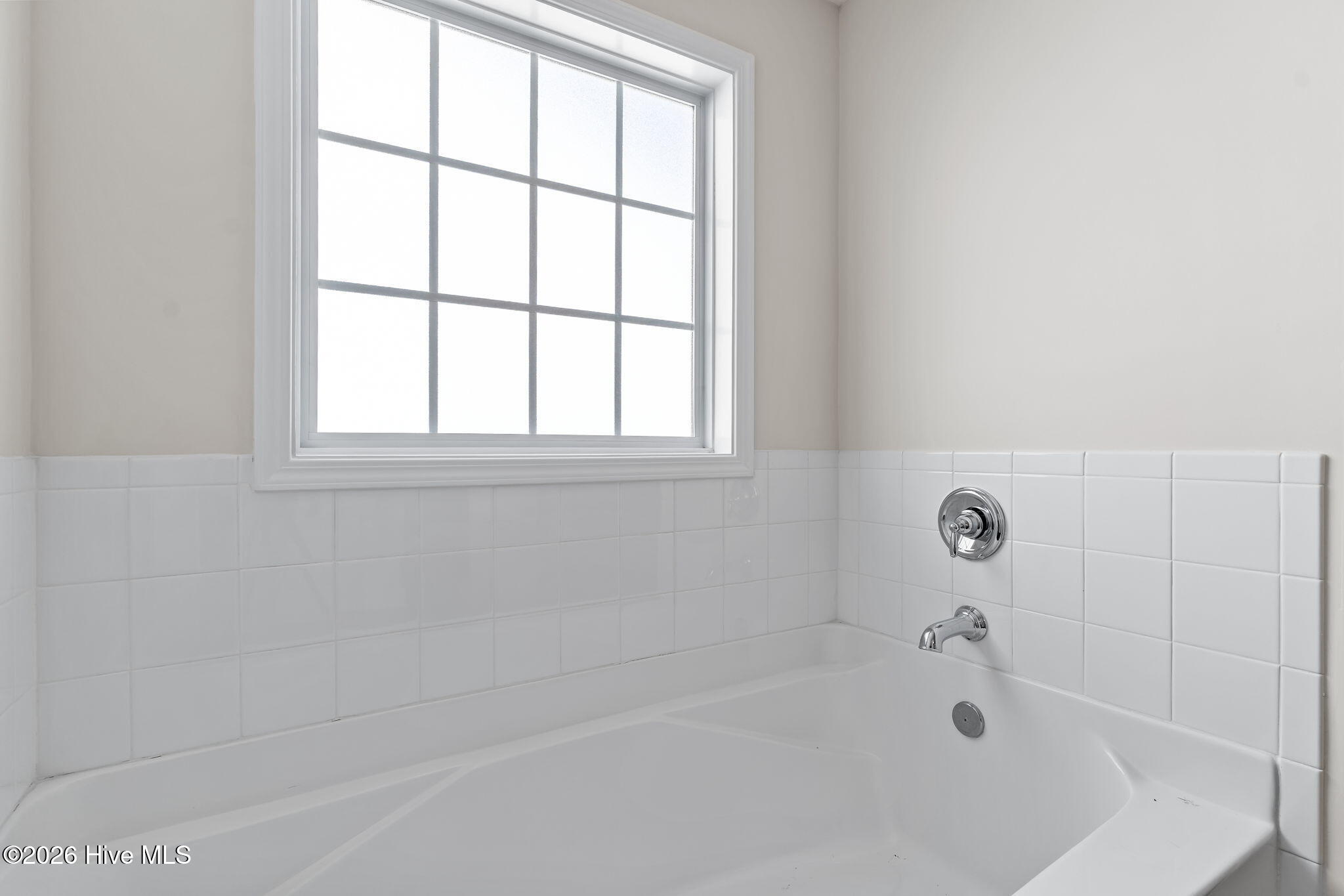 100560294 | Photo 38