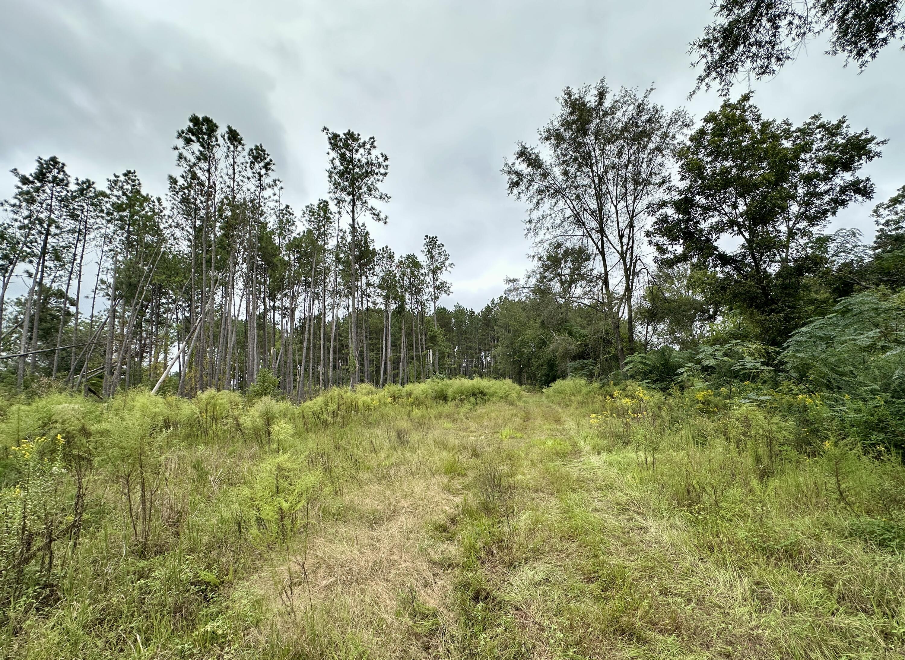 EBDC9D3A-DF04-453A-9940-469D7FAB7CA6