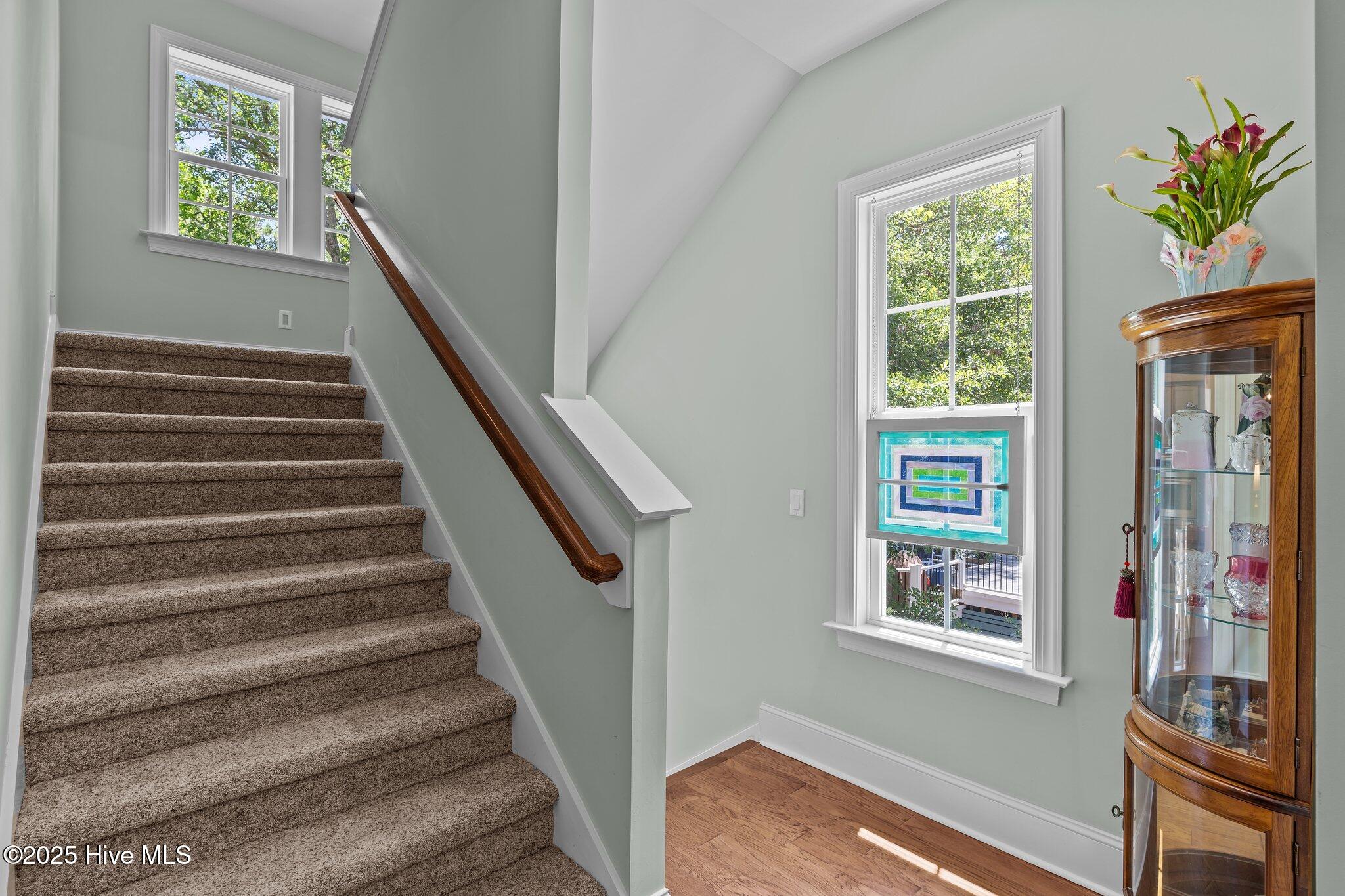 100513257 | Photo 40