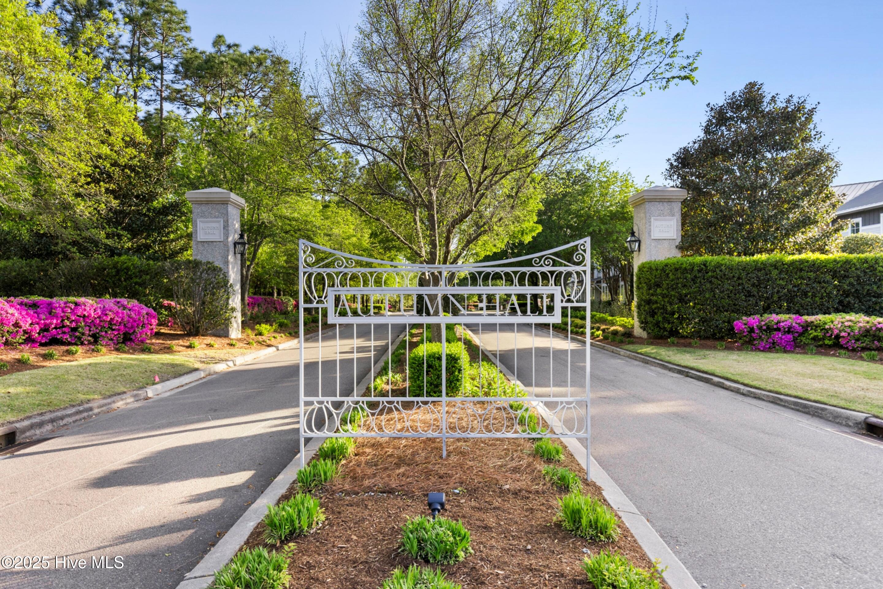 100542273 | Photo 91