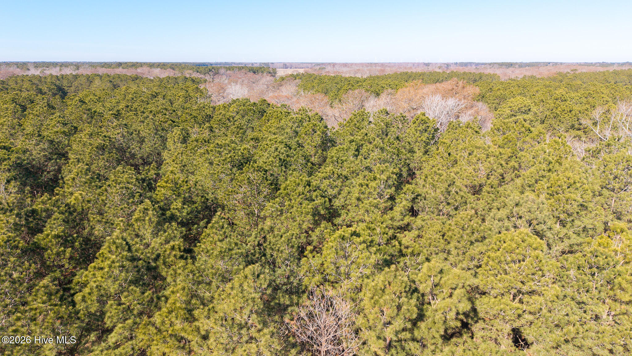 285 Riversound Drive, Edenton, NC, 27932