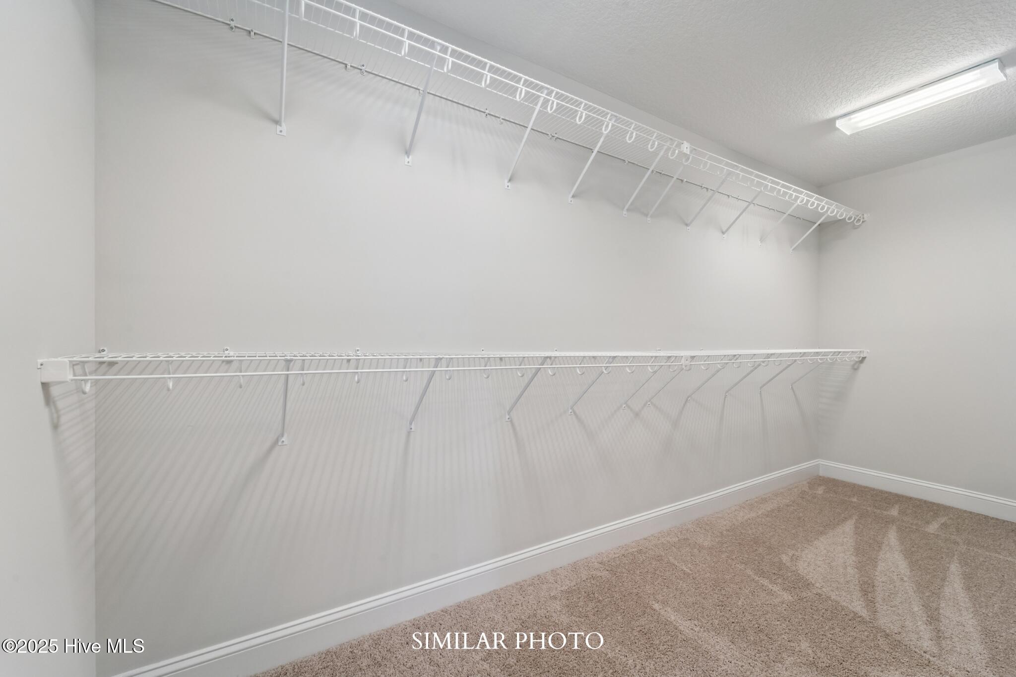 100538462 | Photo 26