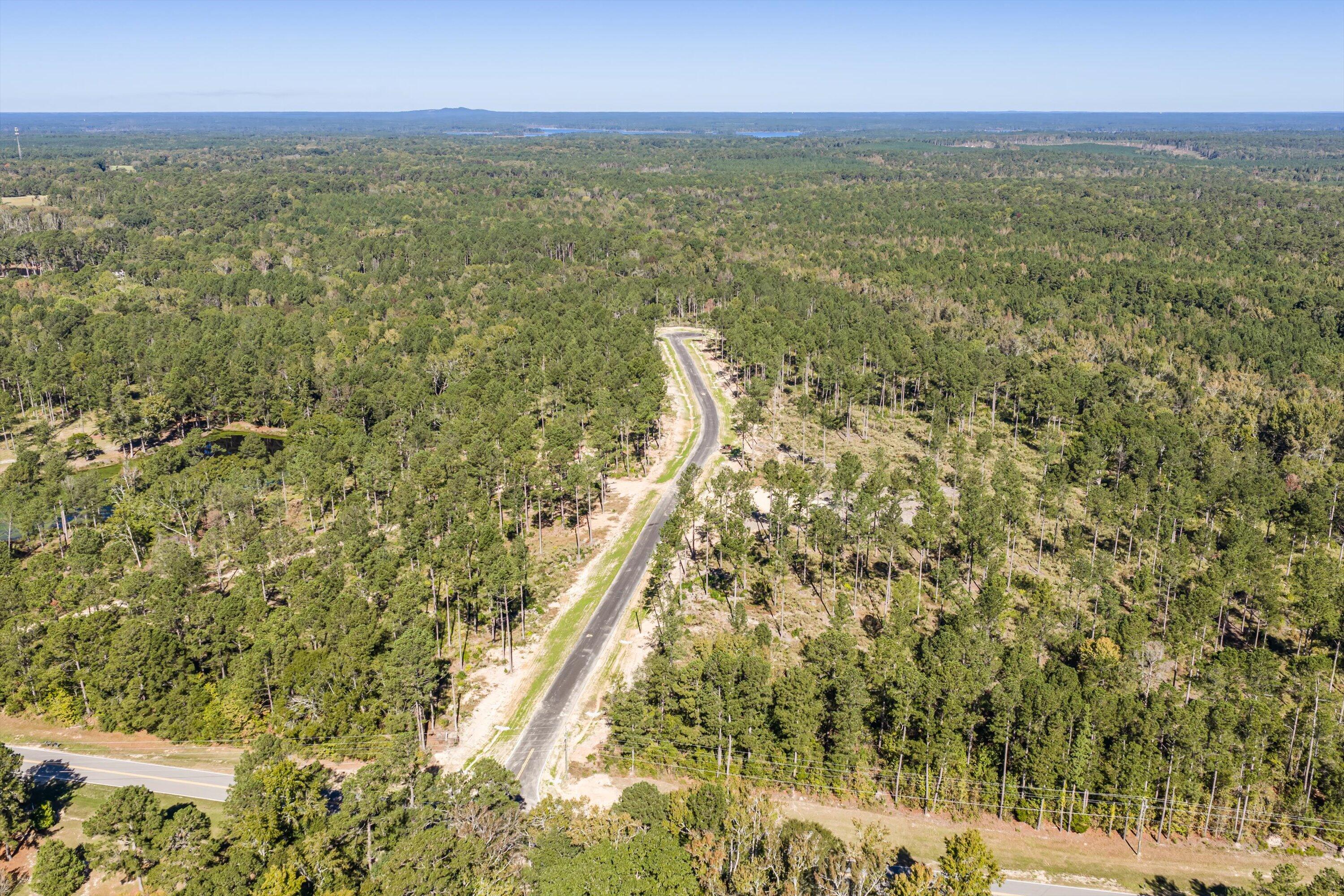 119 Beagle Chase Drive, Appling, GA, 30802