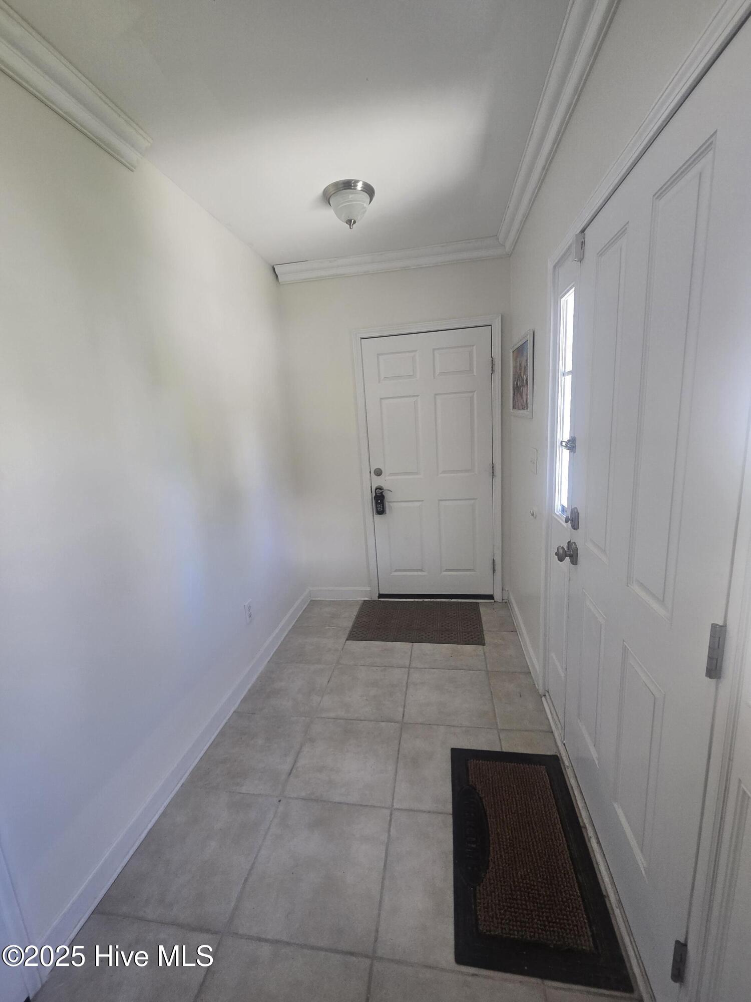 100517924 | Photo 19