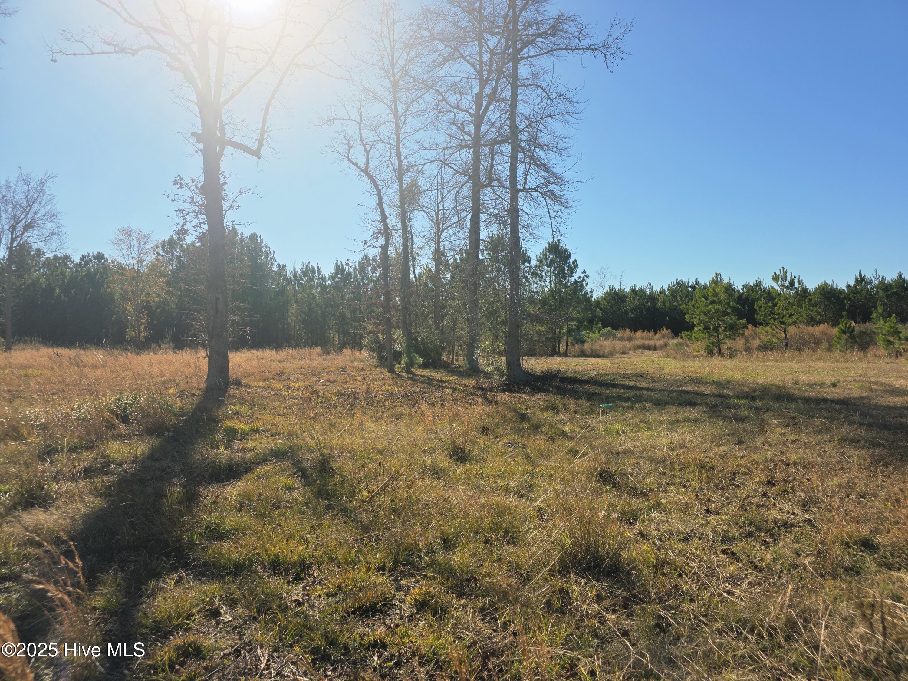 310 Lays Lake Drive, Tabor City, NC, 28463