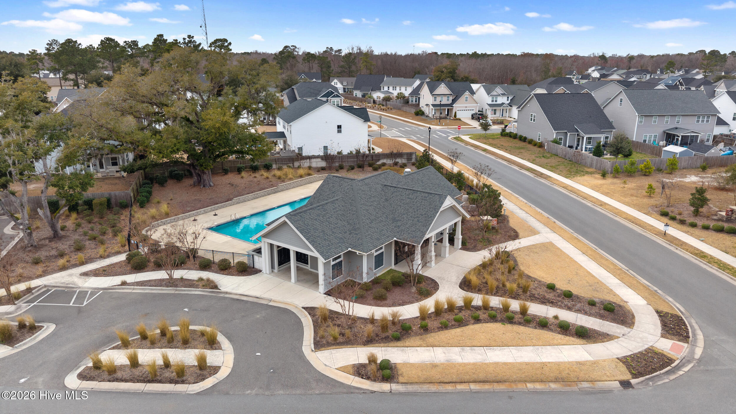 100565855 | Photo 61