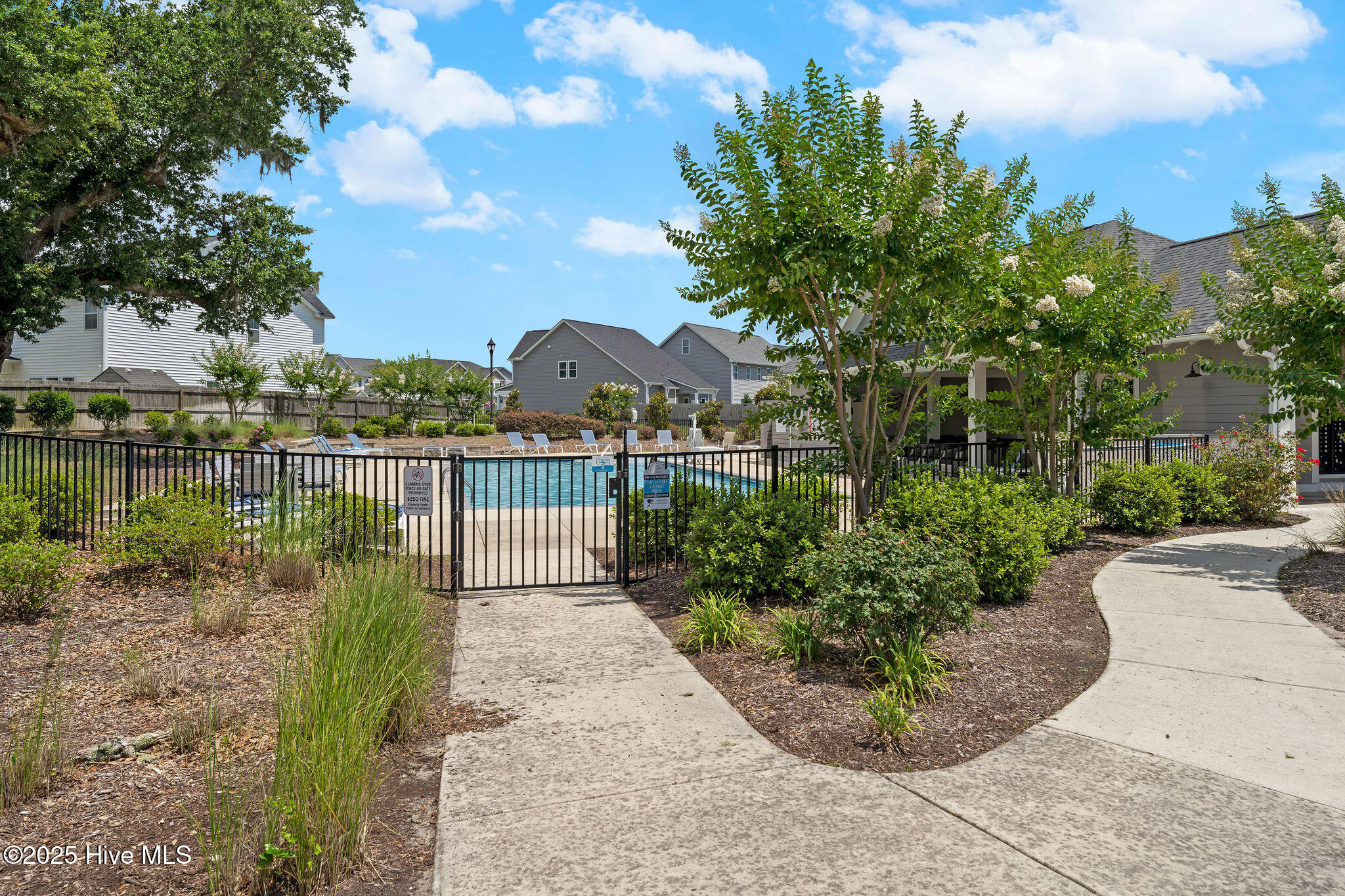 100513961 | Photo 46