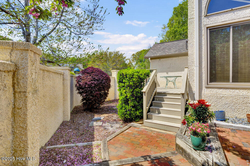 100551135 | Photo 35