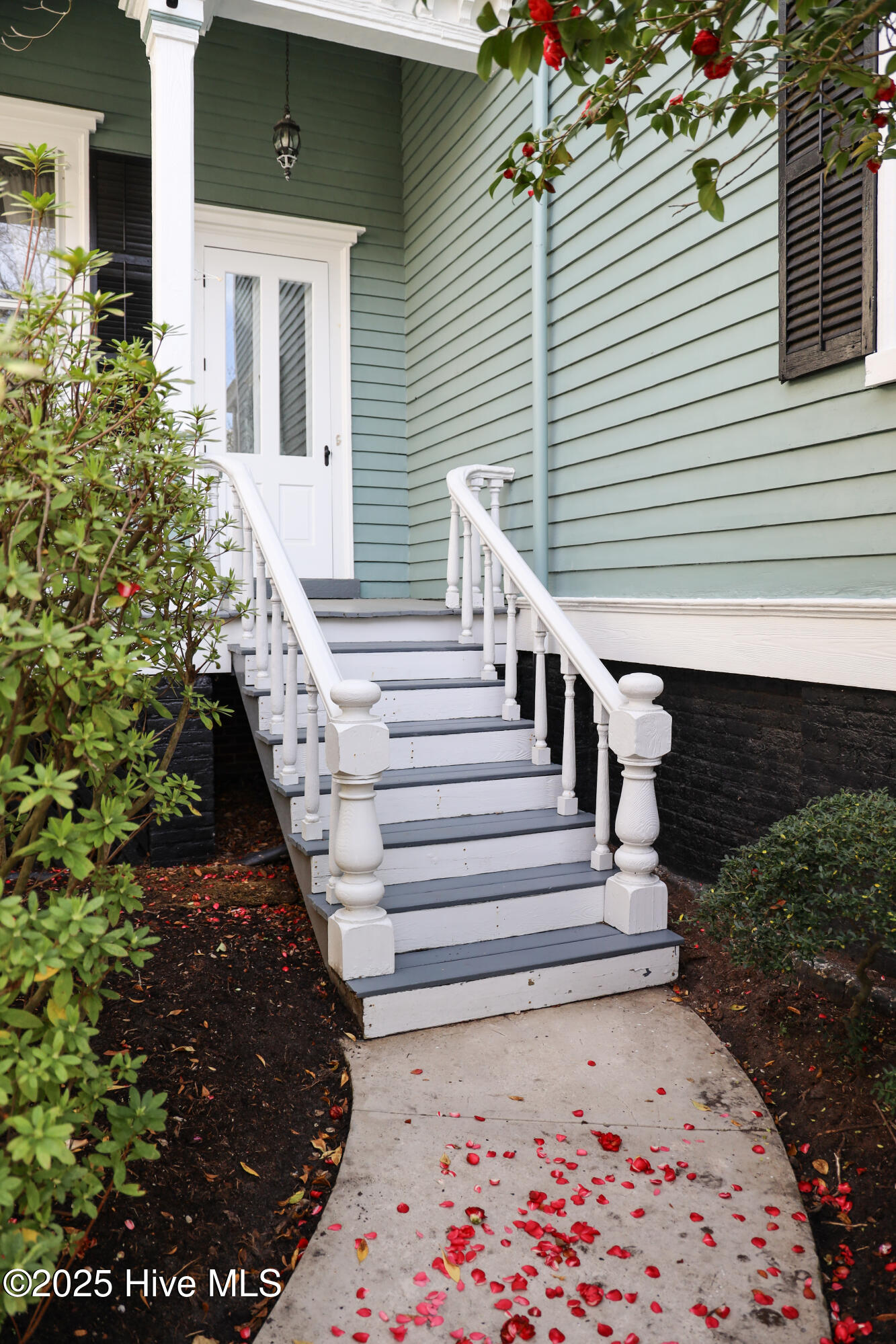 100501936 | Photo 10