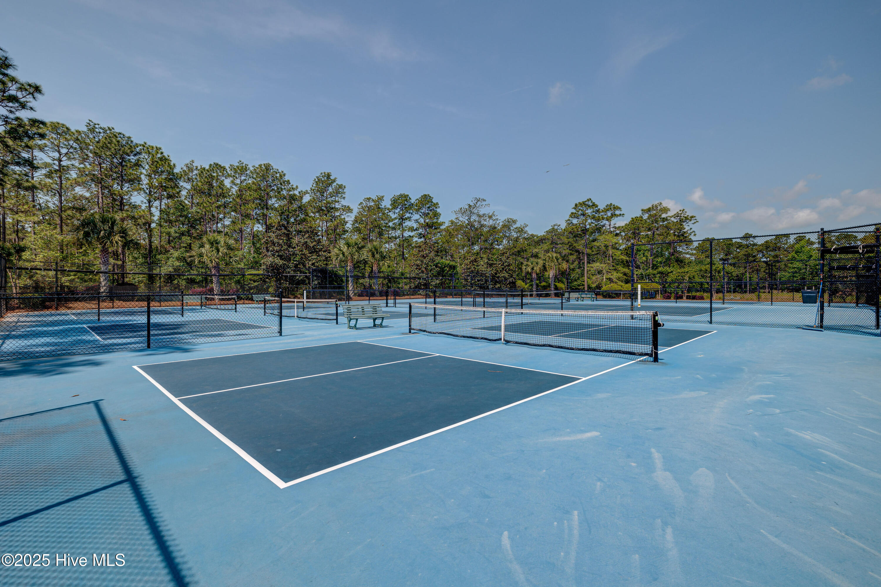 100547497 | Photo 39