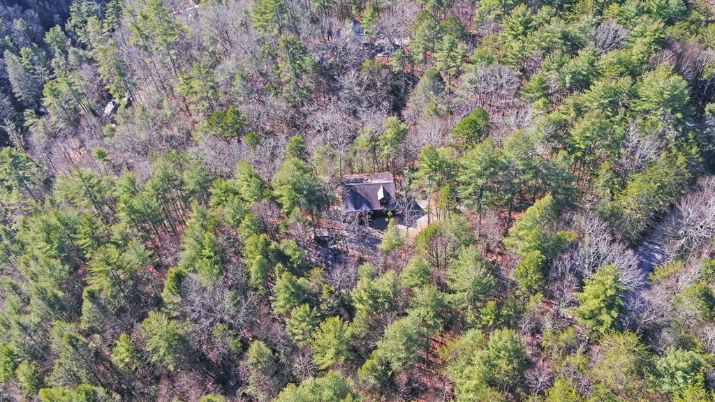 483 Vineyard Creek Way, Murphy, NC 28906 Listing Photo  65