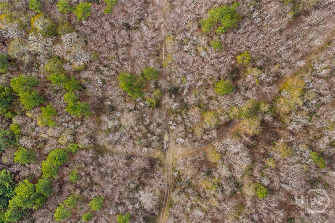 1000 Old River Road S, Brooklet, GA, 30415