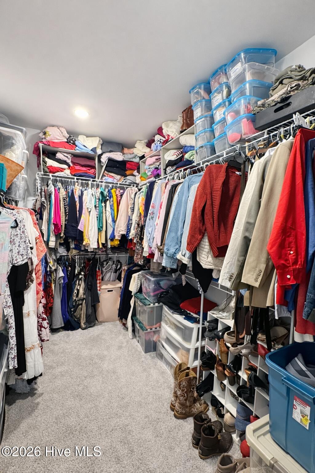 100564656 | Photo 13