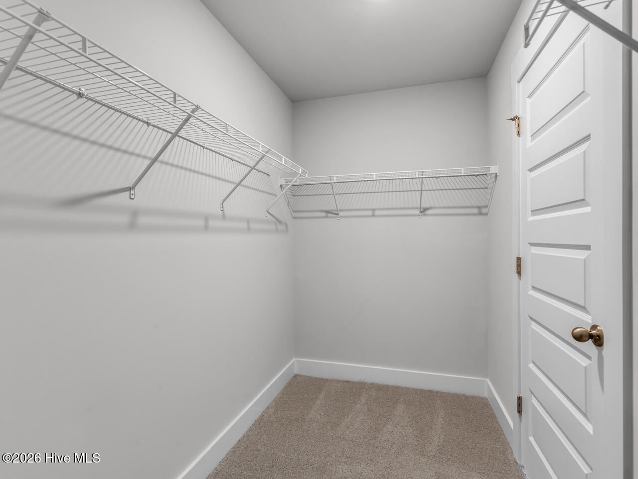 100563947 | Photo 27