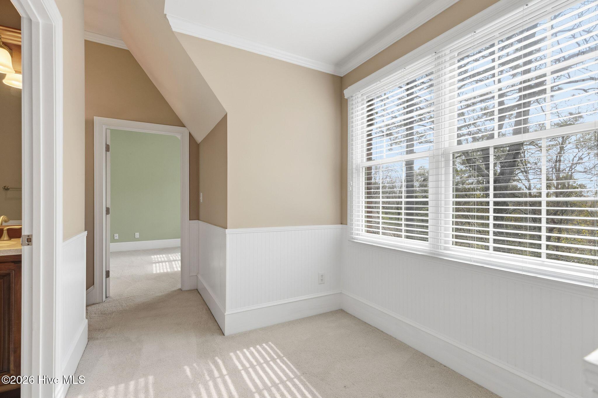 100565083 | Photo 46