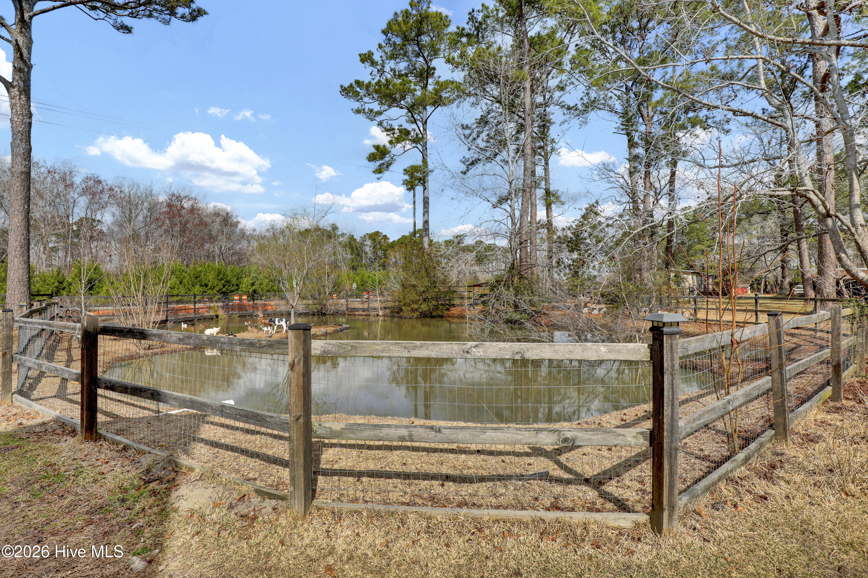 100560637 | Photo 17