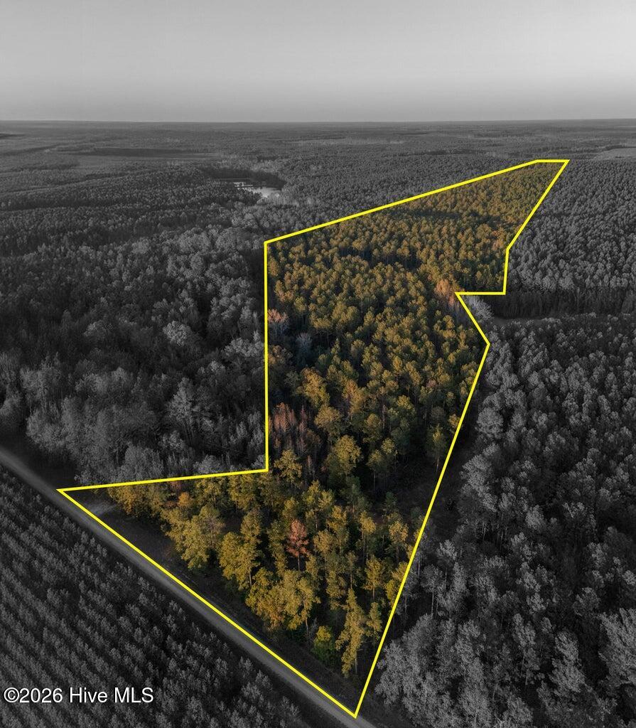 Photo 3 of Land for sale at 0 Barr Chapel Rd, Edgefield, SC 29824 | MLS# 100608765 | Listing updated on 2026-10-07