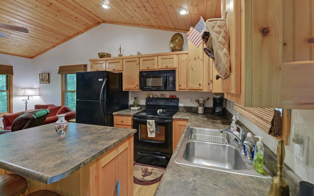 164 Dew Drop Lane, Murphy, NC 28906 Listing Photo  40