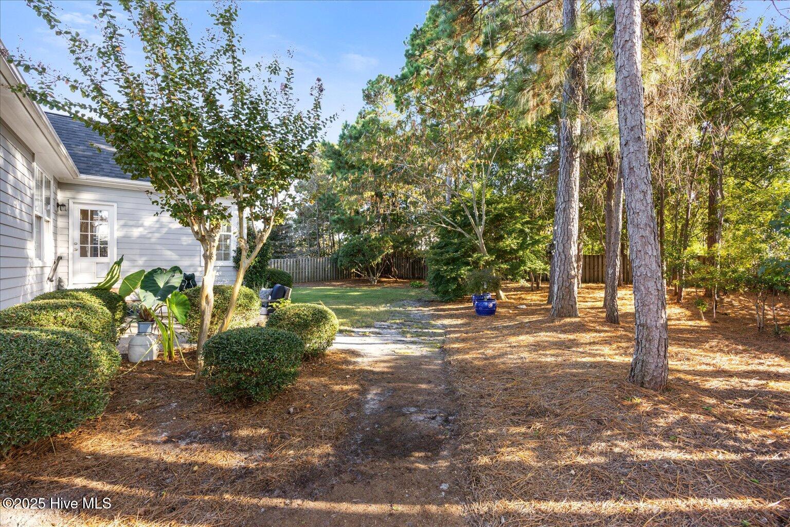 100532756 | Photo 29