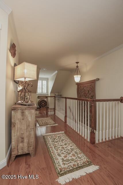 100515842 | Photo 108