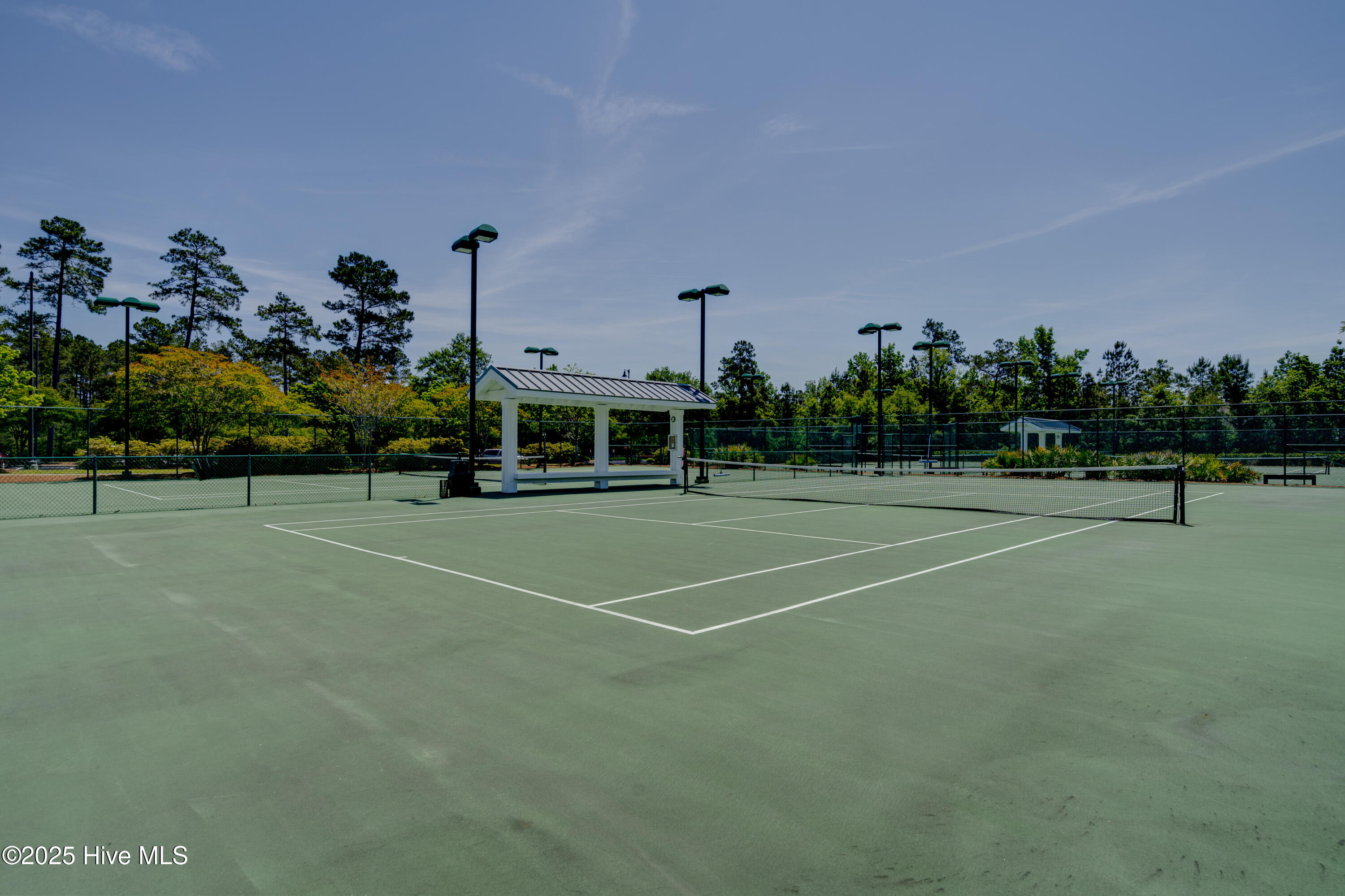 100547164 | Photo 74