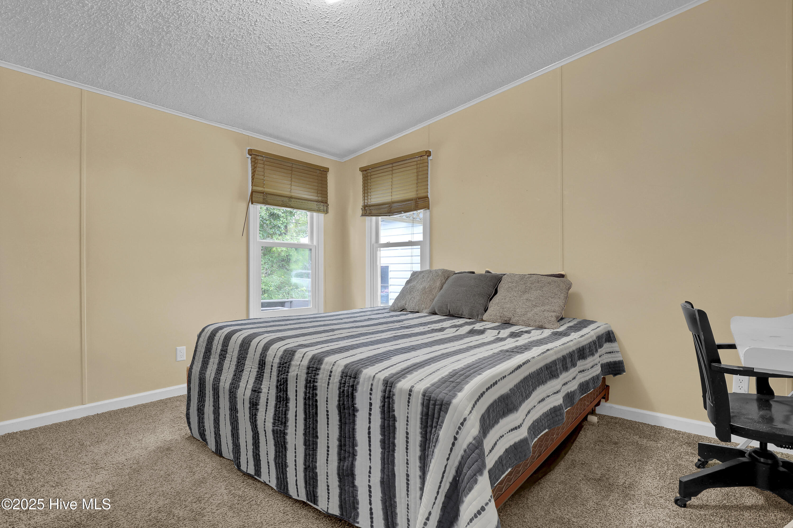 100523647 | Photo 21