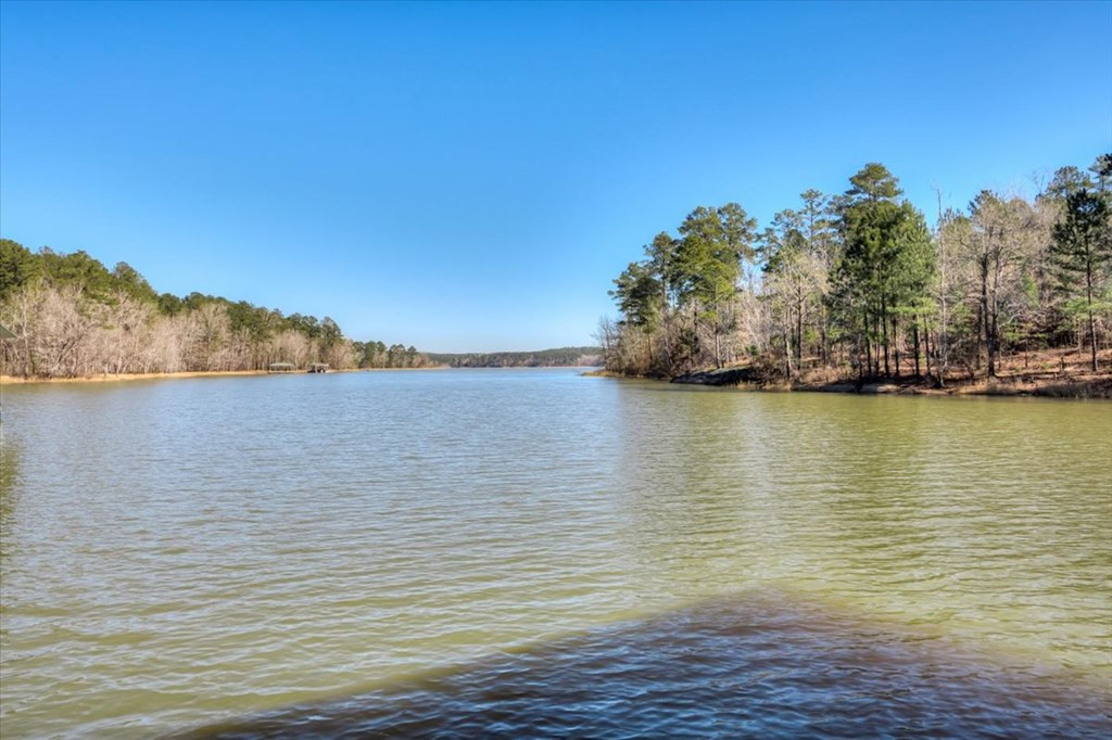 1076 Providence Ferry Road, Lincolnton, GA 30817 Listing Photo  61