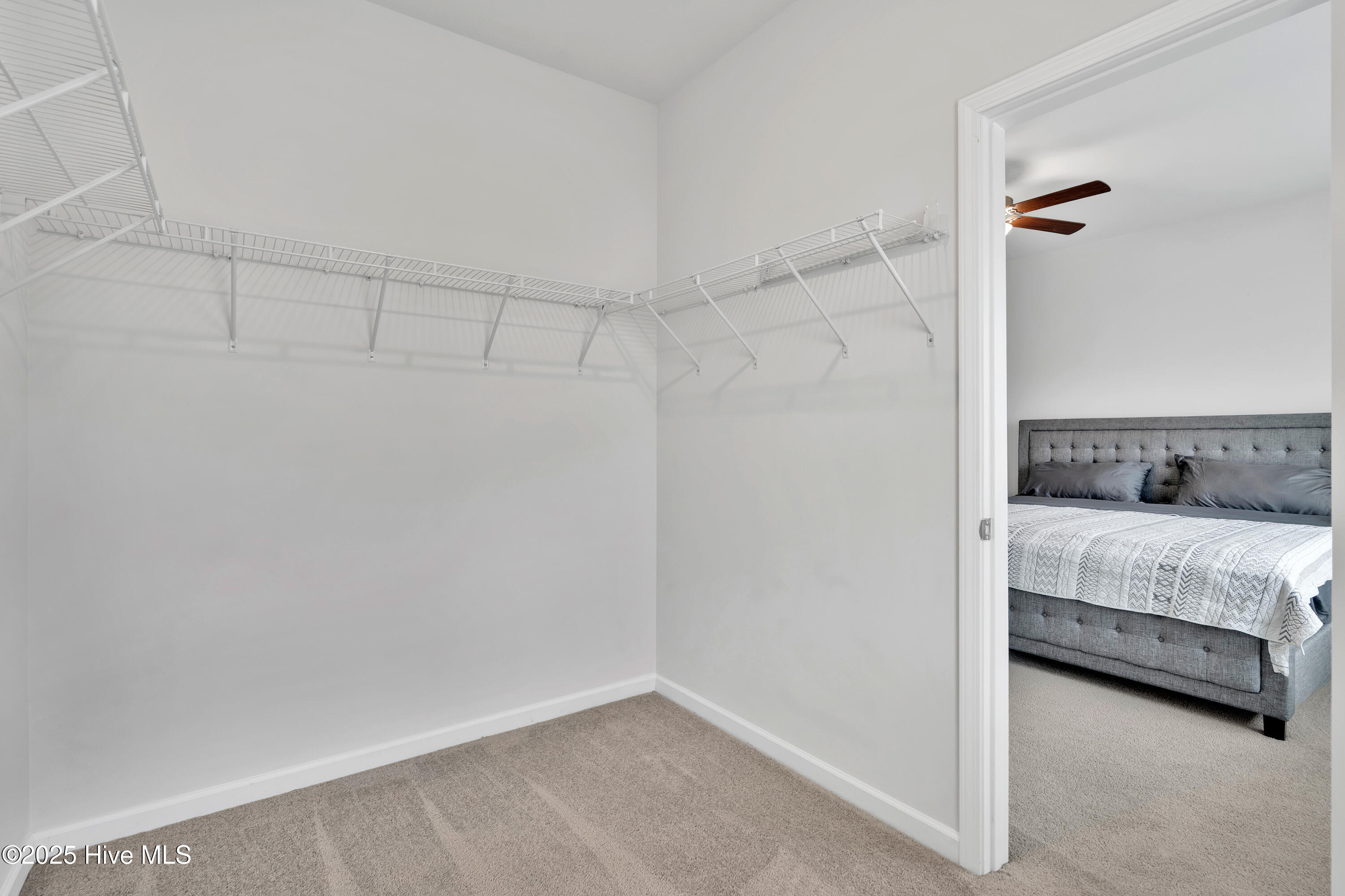 100513035 | Photo 15