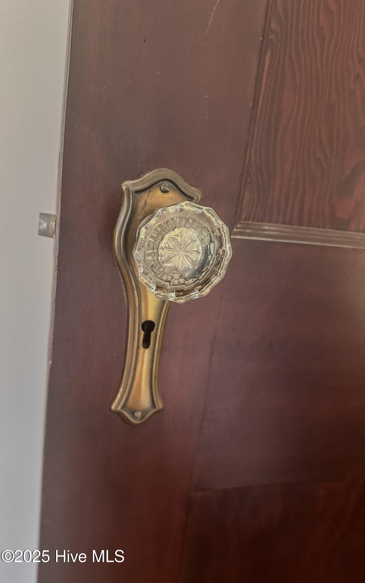 100515338 | Photo 16