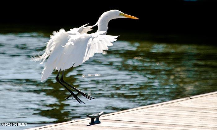 100429794 | Photo 11