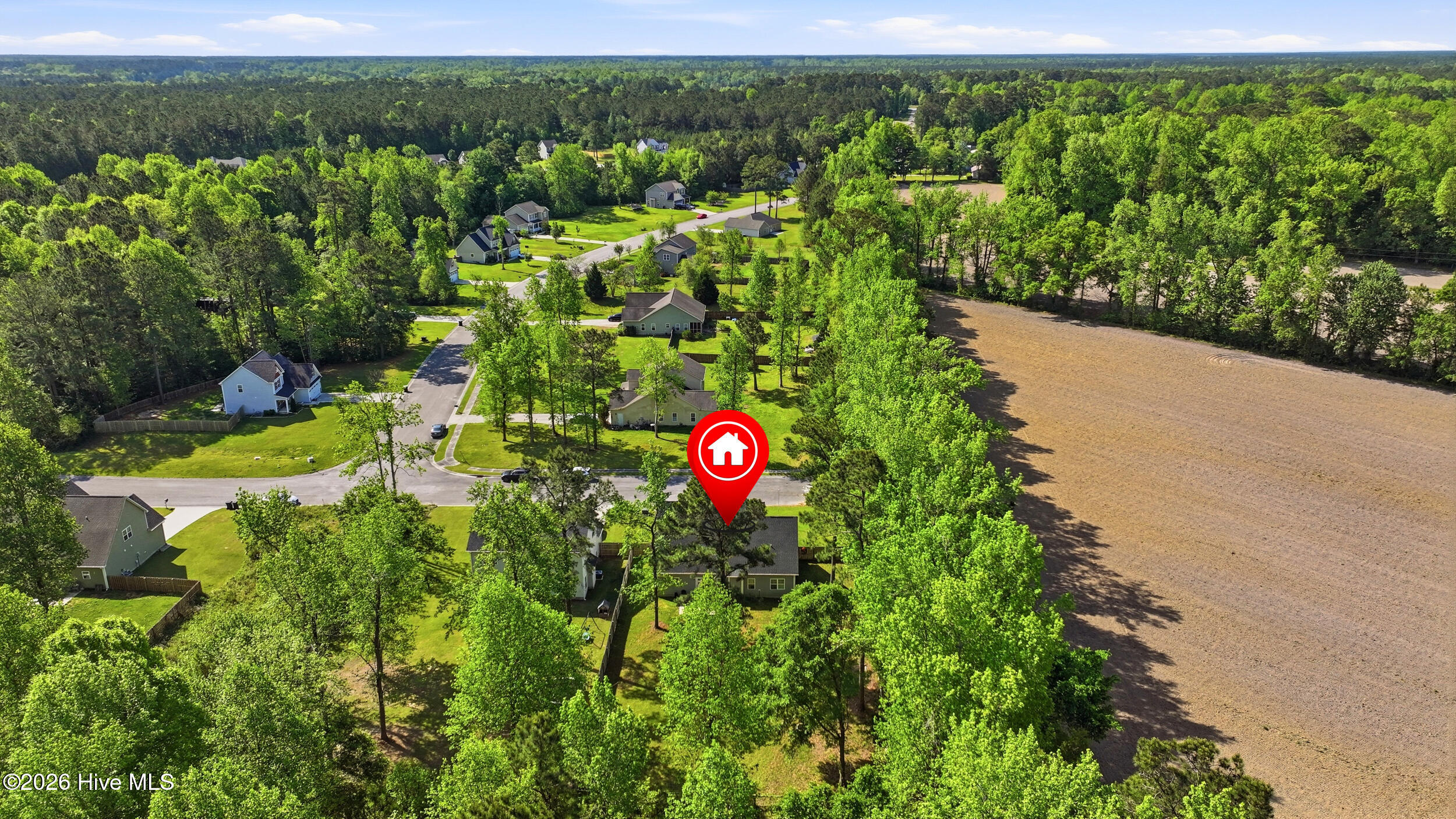 100568346 | Photo 46