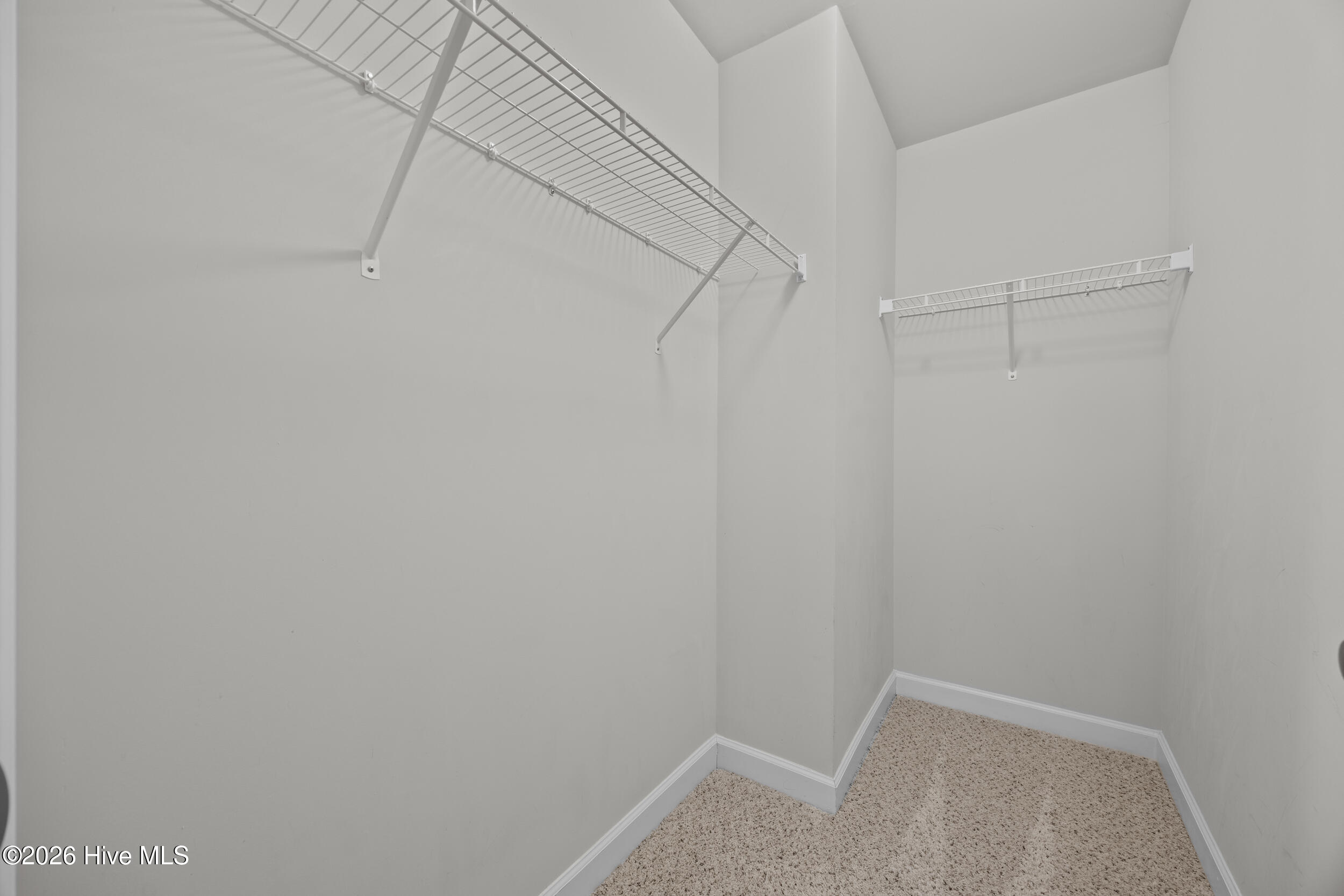 100557313 | Photo 40