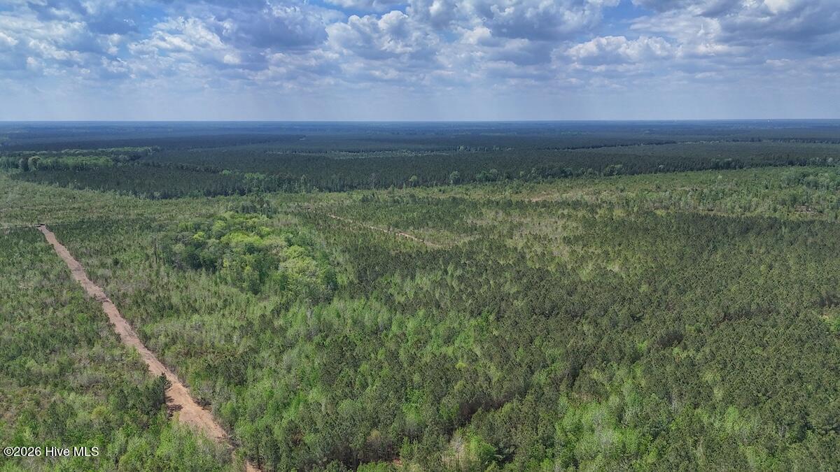 0 Guinea Mill Road, Ernul, NC, 28527