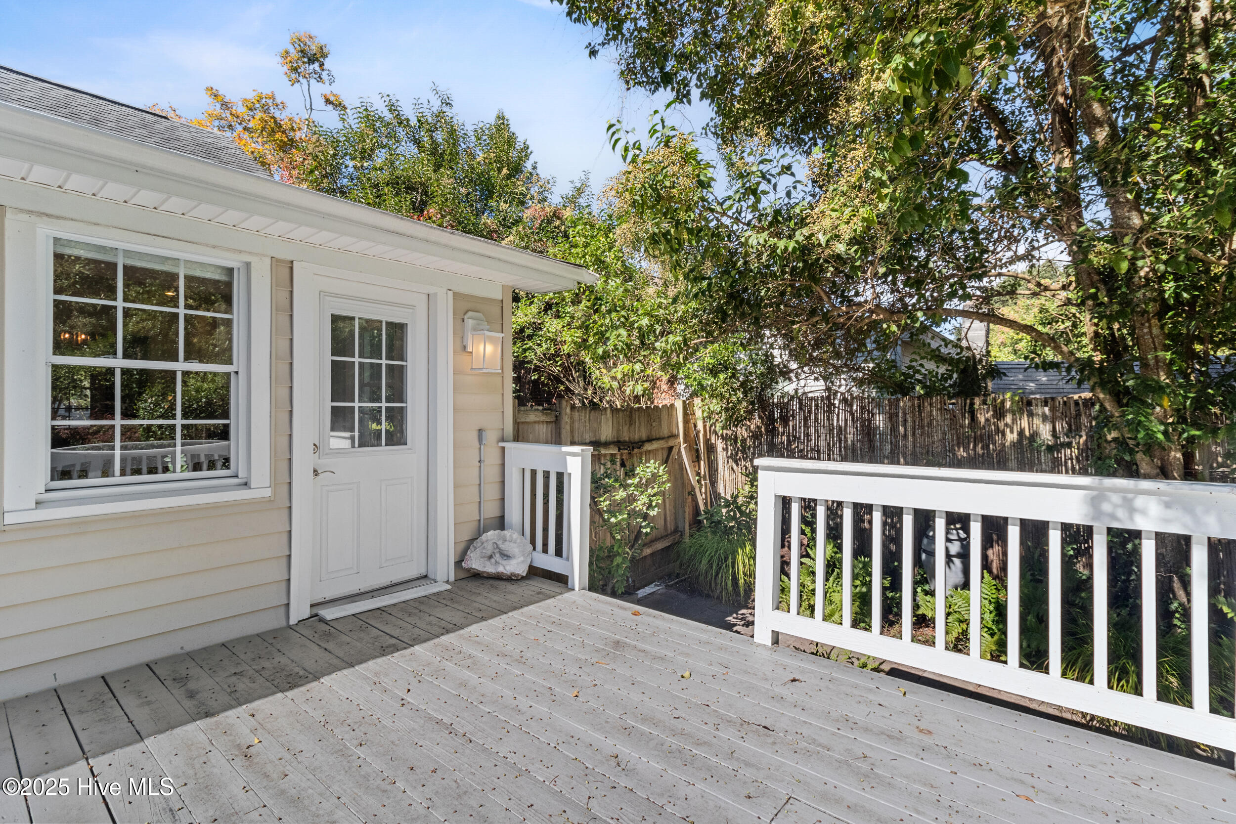 100538519 | Photo 18