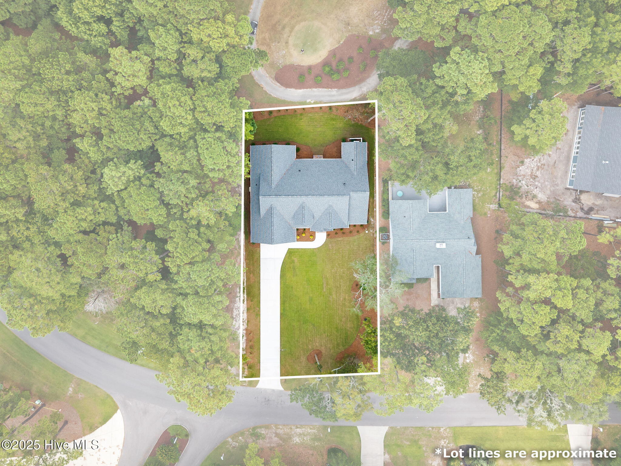 100530542 | Photo 57